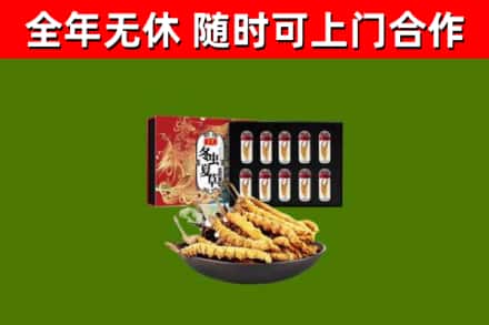 含山县烟酒回收冬虫夏草礼盒.jpg